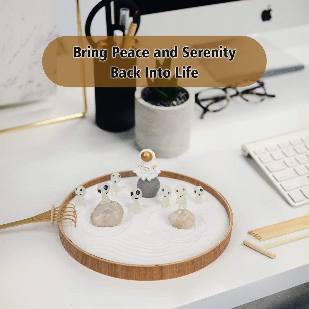 Mini Zen Garden for Desk Outer Space Themed (Spacemen Wh)