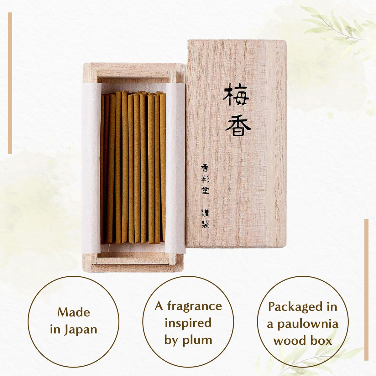 Hasegawa Japanese Smokeless Spring Plum Blossoms Incense (Plum Blossom)