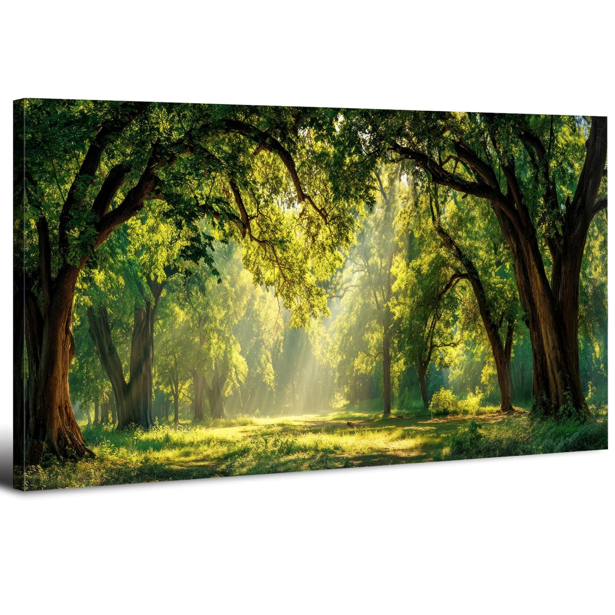 Green Forest Wall Art Panoramic Woodland Landscape Canvas Pictures Nature Wall Decor Sunrise Sunlight Trees Scenery Poster Living Room Bedroom Office Hallway Cabin Lodge Home Decoration 30x60 (60"L x 30"W / Forest)