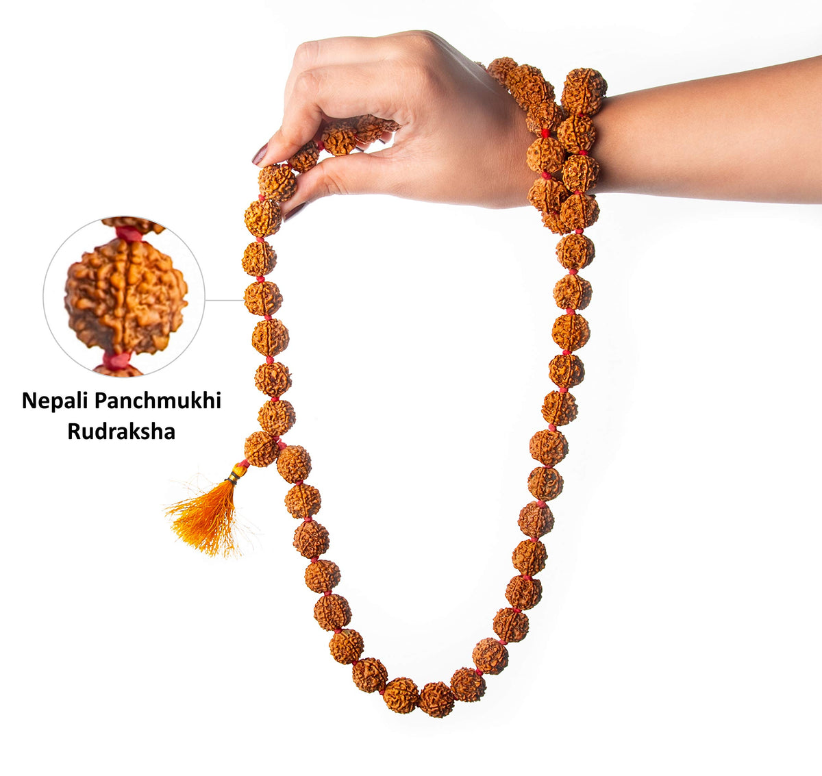 Certified Rudraksha Mala 5face (12-15mm 56 Nepali Bead)