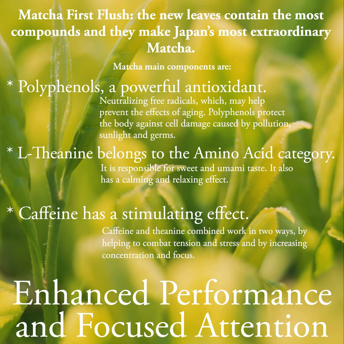 Organic Ceremonial Grade Matcha