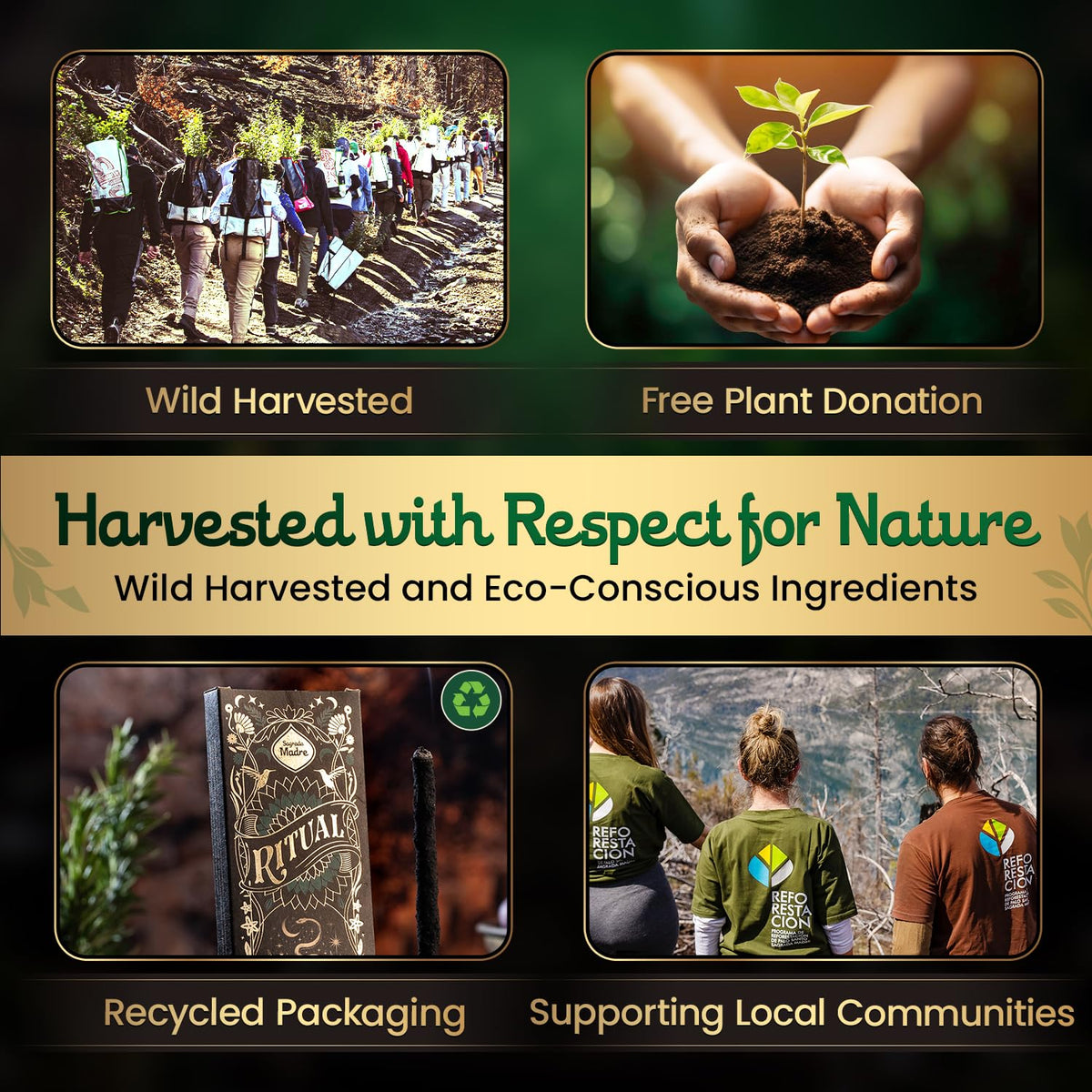 Natural Rue Rosemary Frankincense Incense