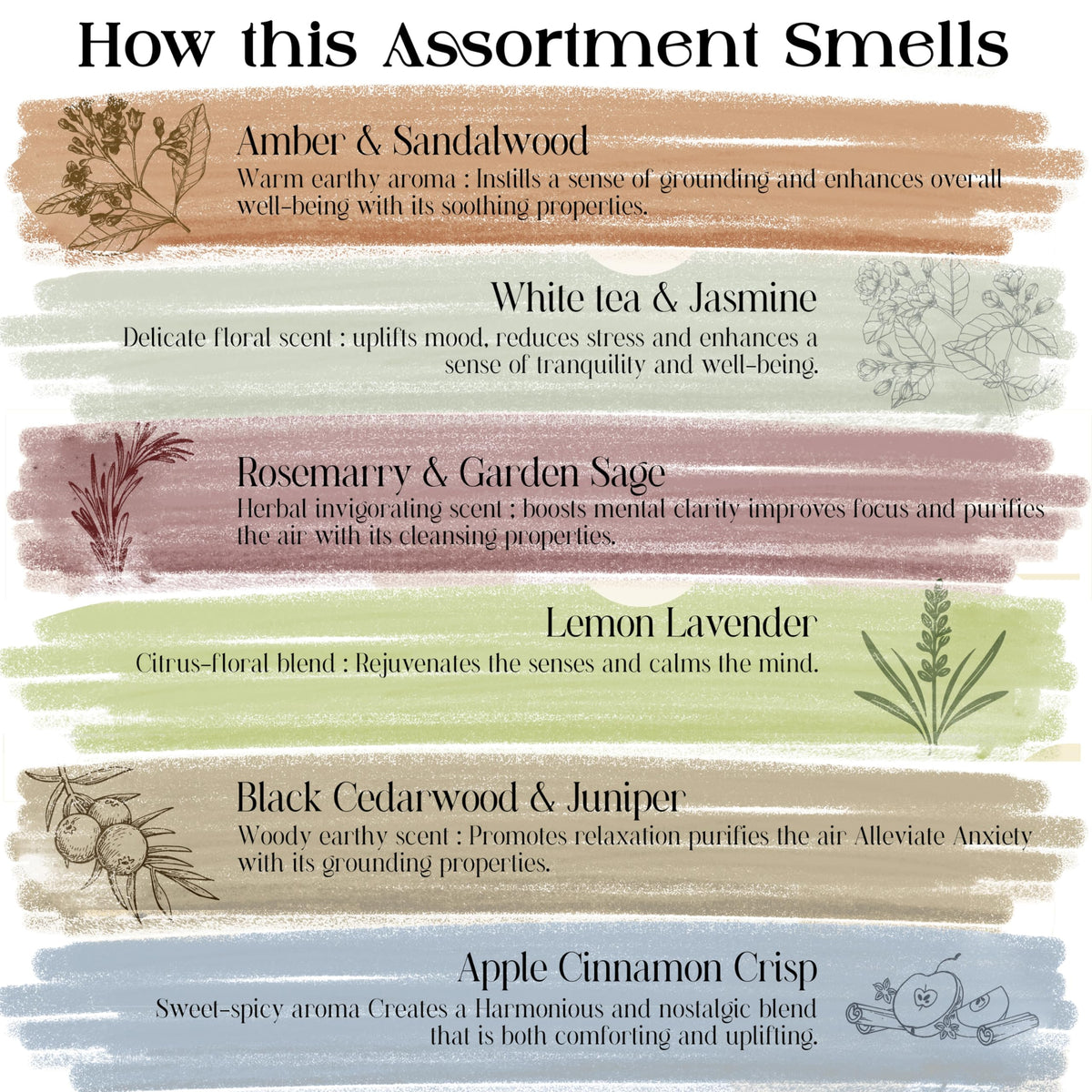 Natural Incense Sticks Variety Pack with Incense Stick Holder (Rise & Conquer)