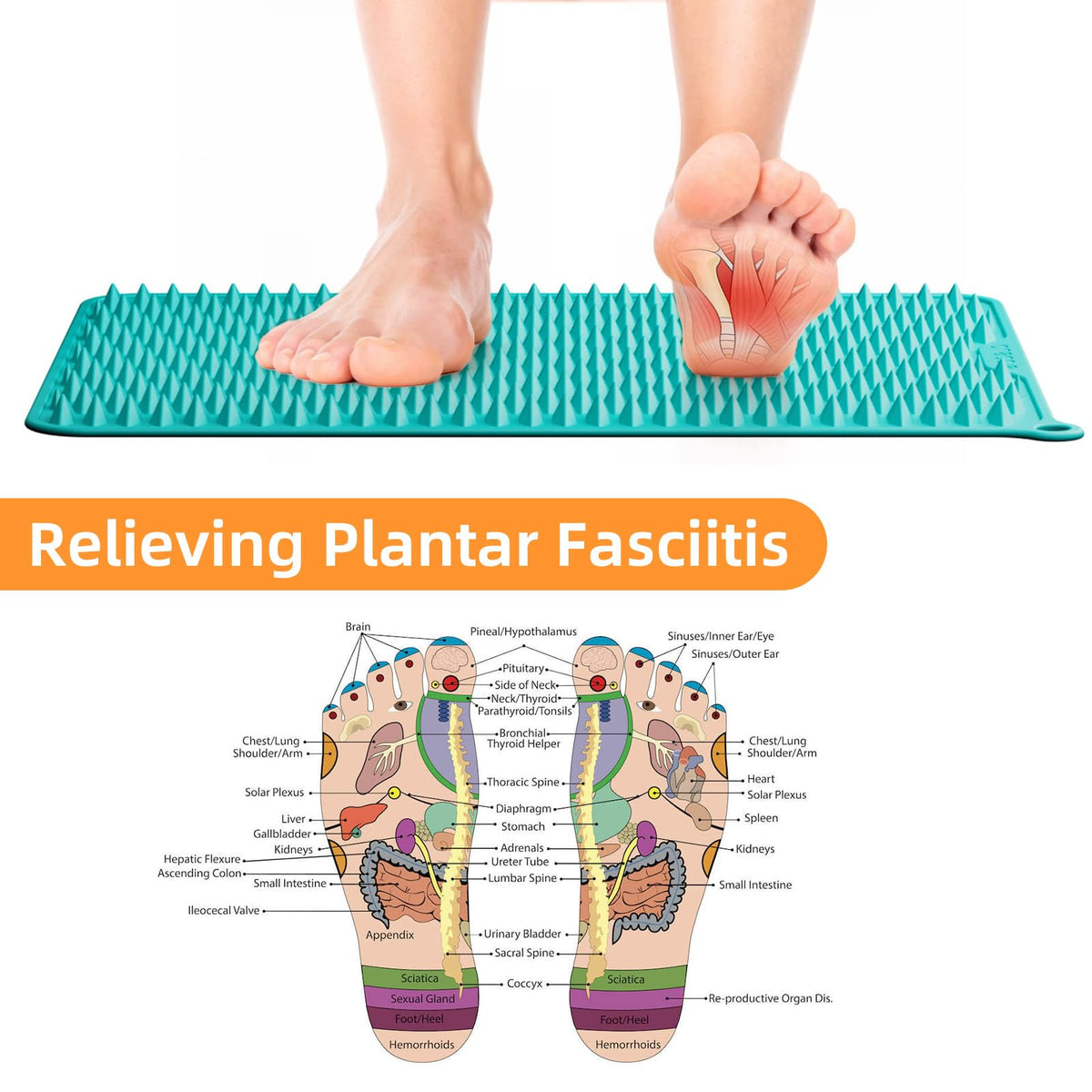Acupressure Mat for Foot Massage (Green)