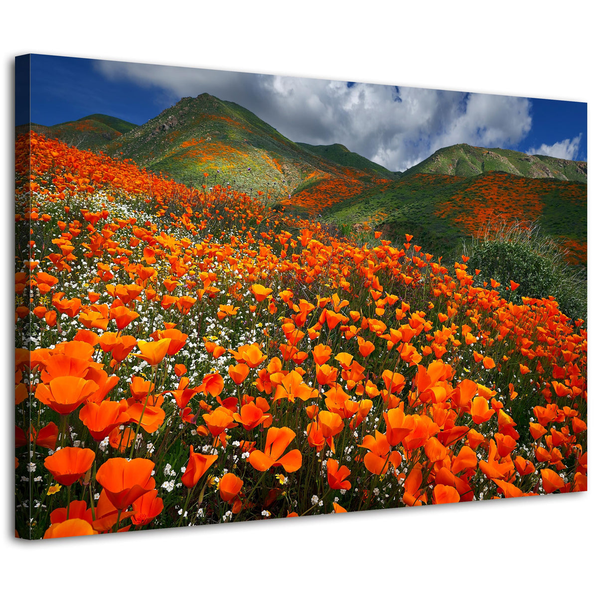 Nature Mountain Wall Art Poppy Wall Decor Poppies Flowers Scenery Picture Prints Photography for Living Room Office Bedroom Decoration Blossom Wild Floral Landscape Poster Artwork Home Decor 20x30” (30"L x 20"W / OrangePoppy)