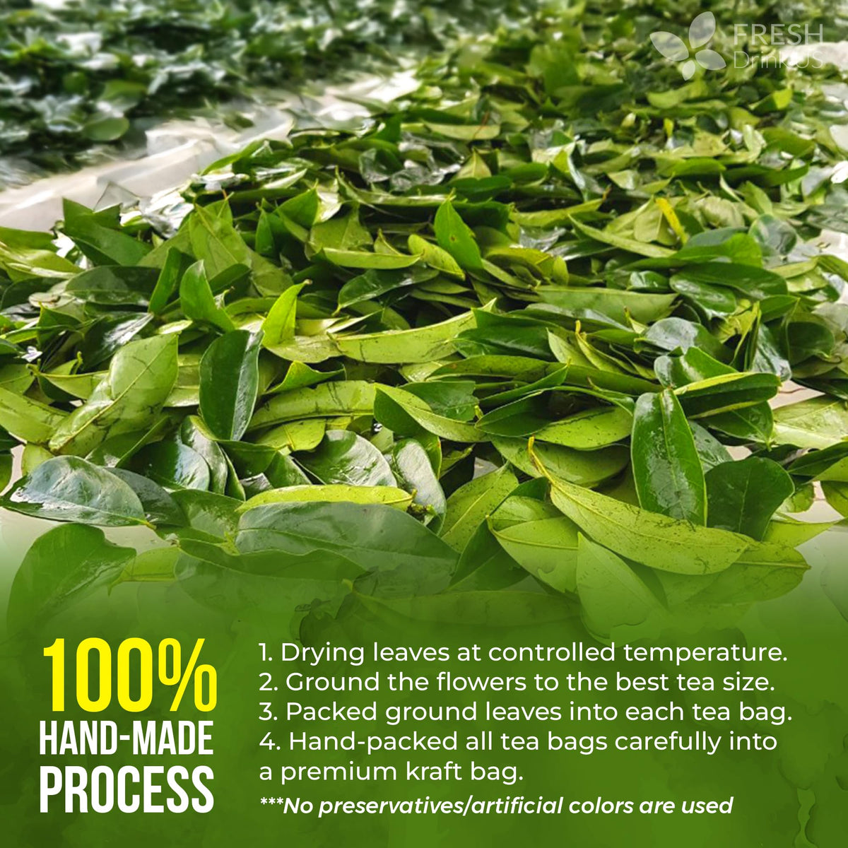 Premium Soursop Leaf Tea (45 Tea Bags)