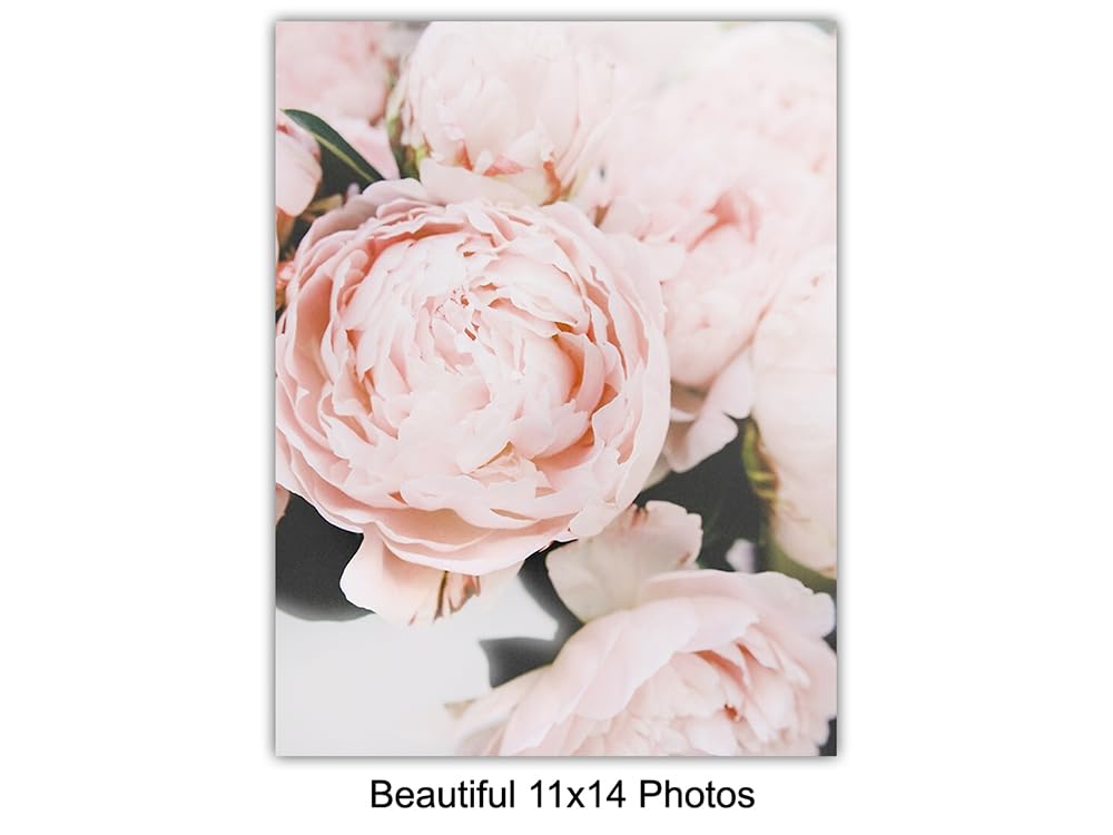 Fashion Design Inspirational Quotes 11x14 (11x14)