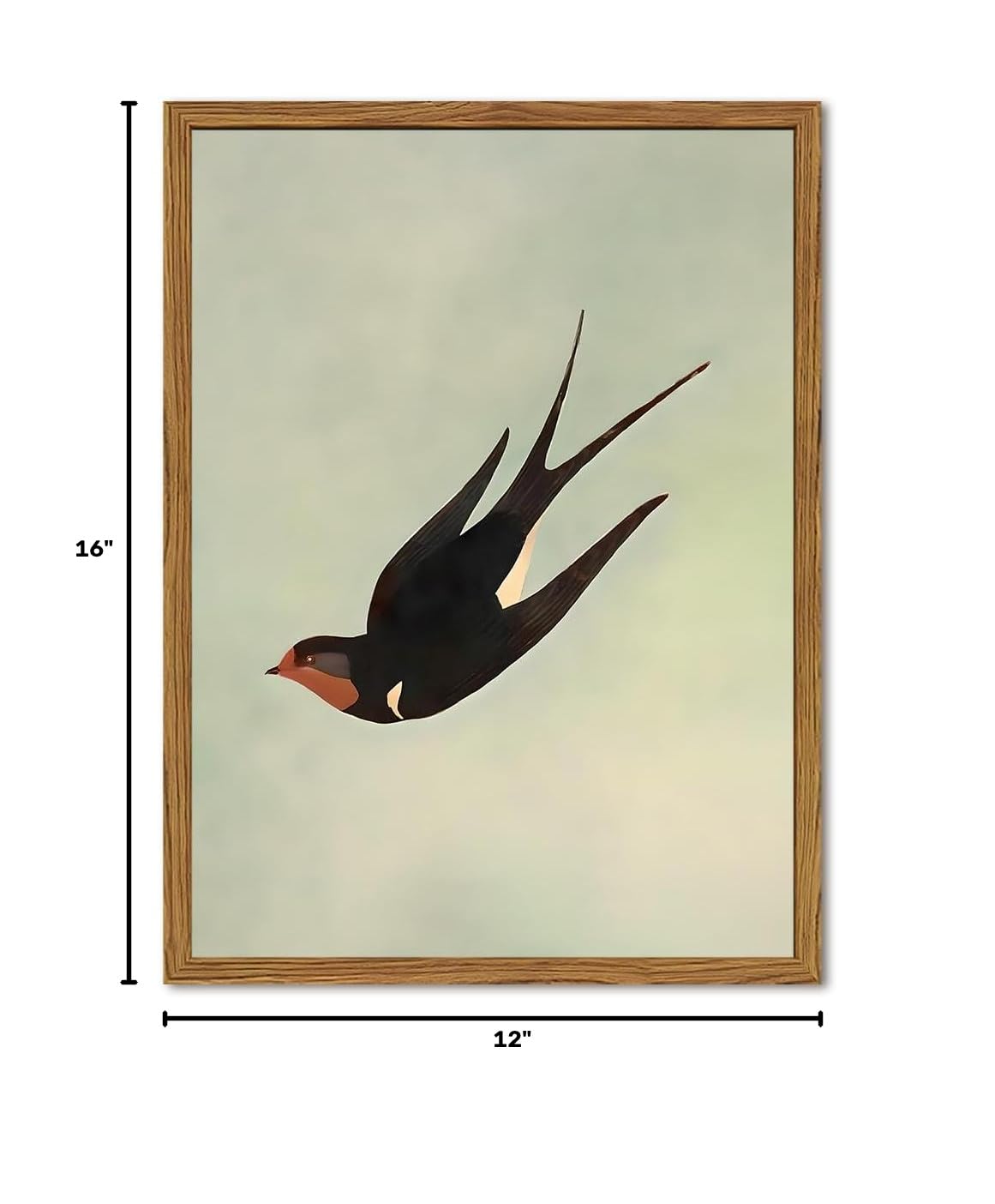 Framed Vintage Bird Wall Art (Black Swallow / 16"L x 12"W)