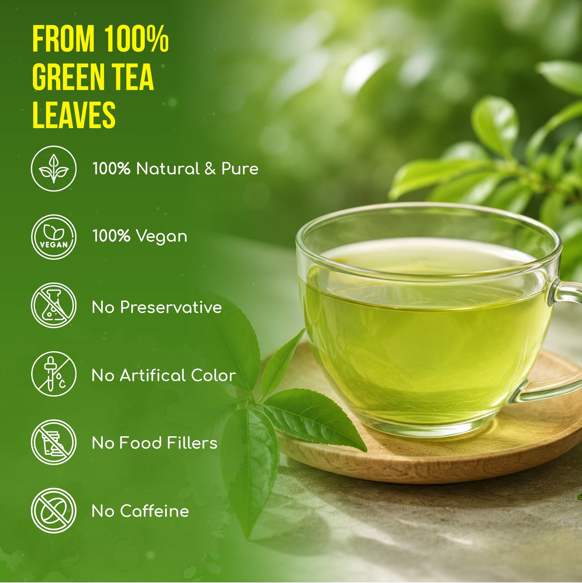 Premium Green Tea Bag (175 Tea Bags)