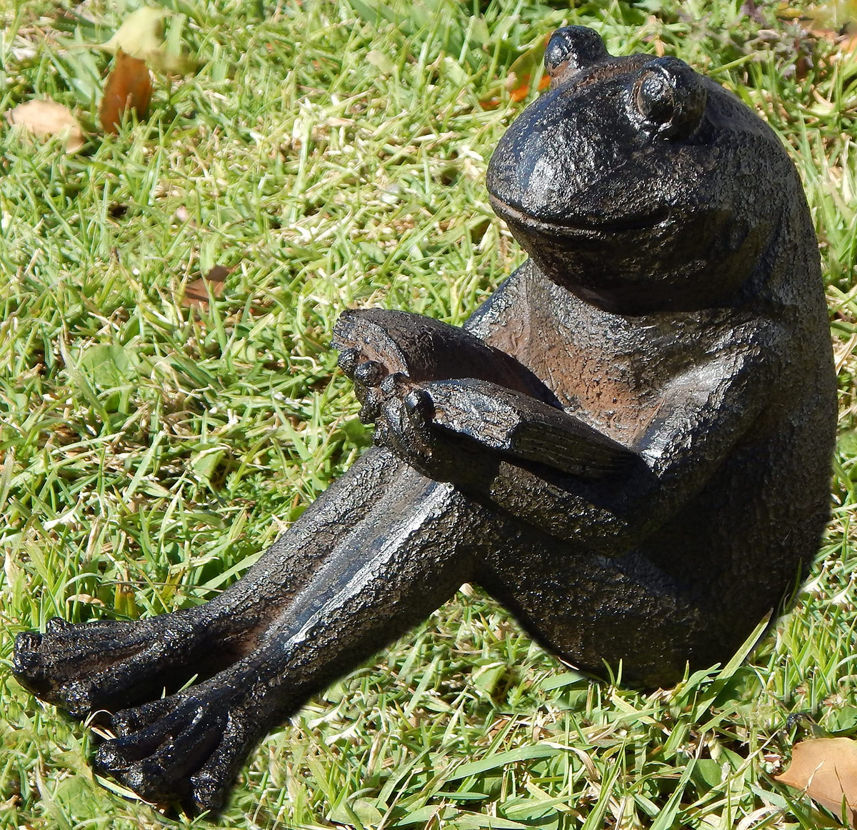 Reading Frog Garden Statue