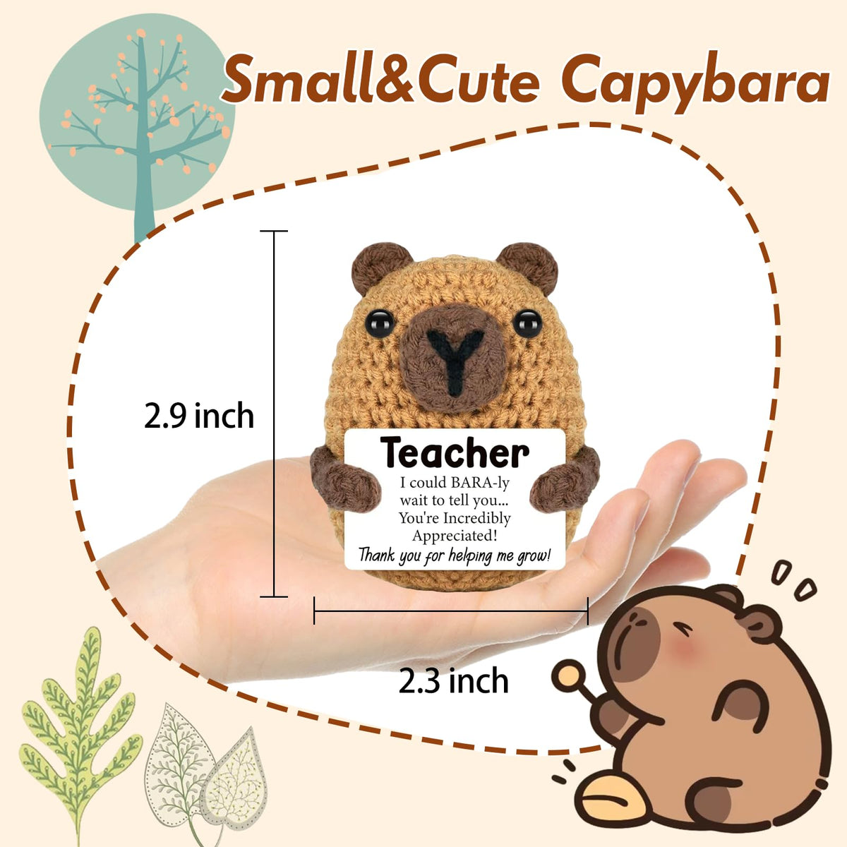 Teacher Appreciation Gifts in Bulk for Men Women (Teacher)