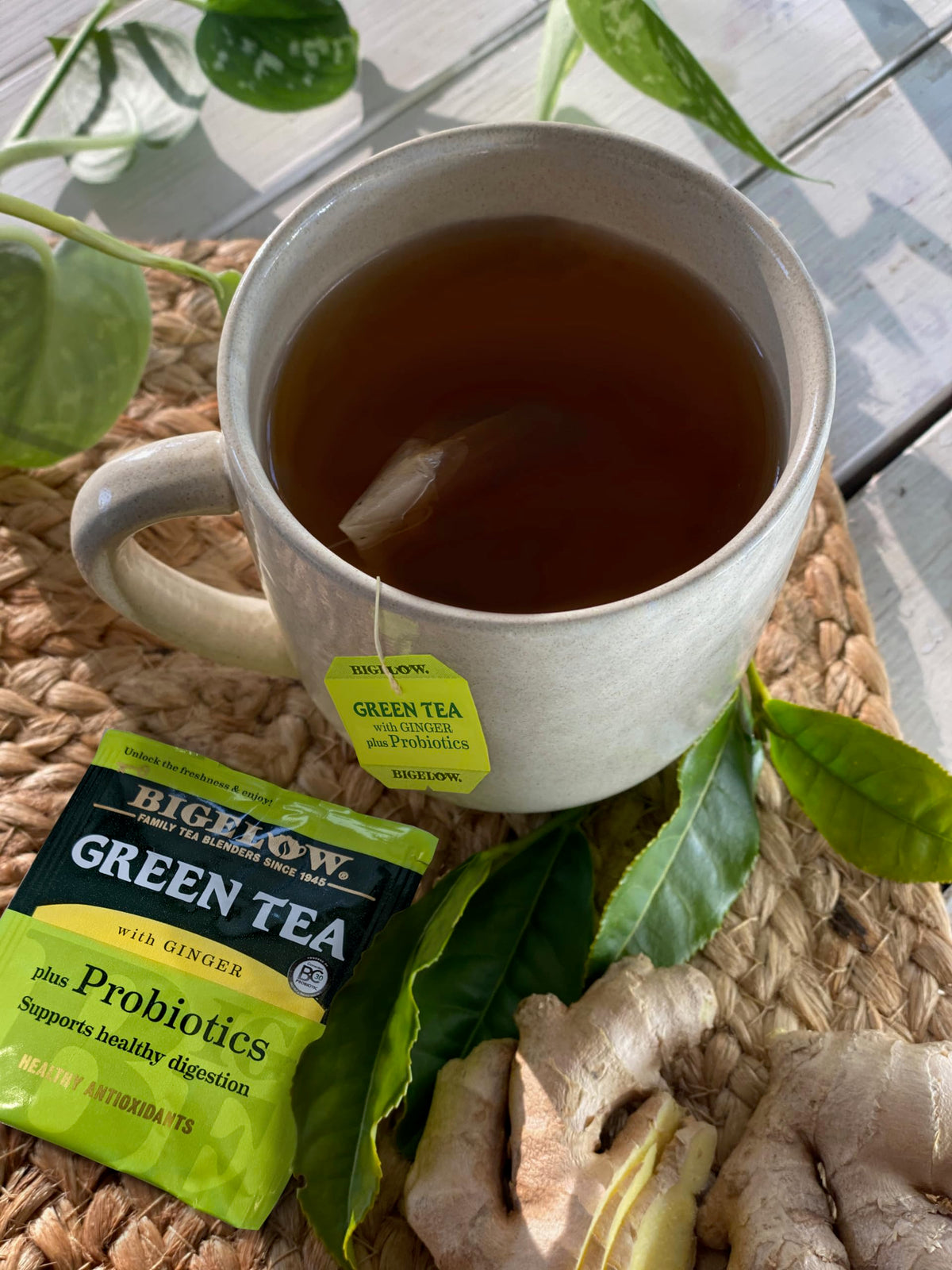 Green Tea with Ginger Plus Probiotics (18 Count (Pack of 1))