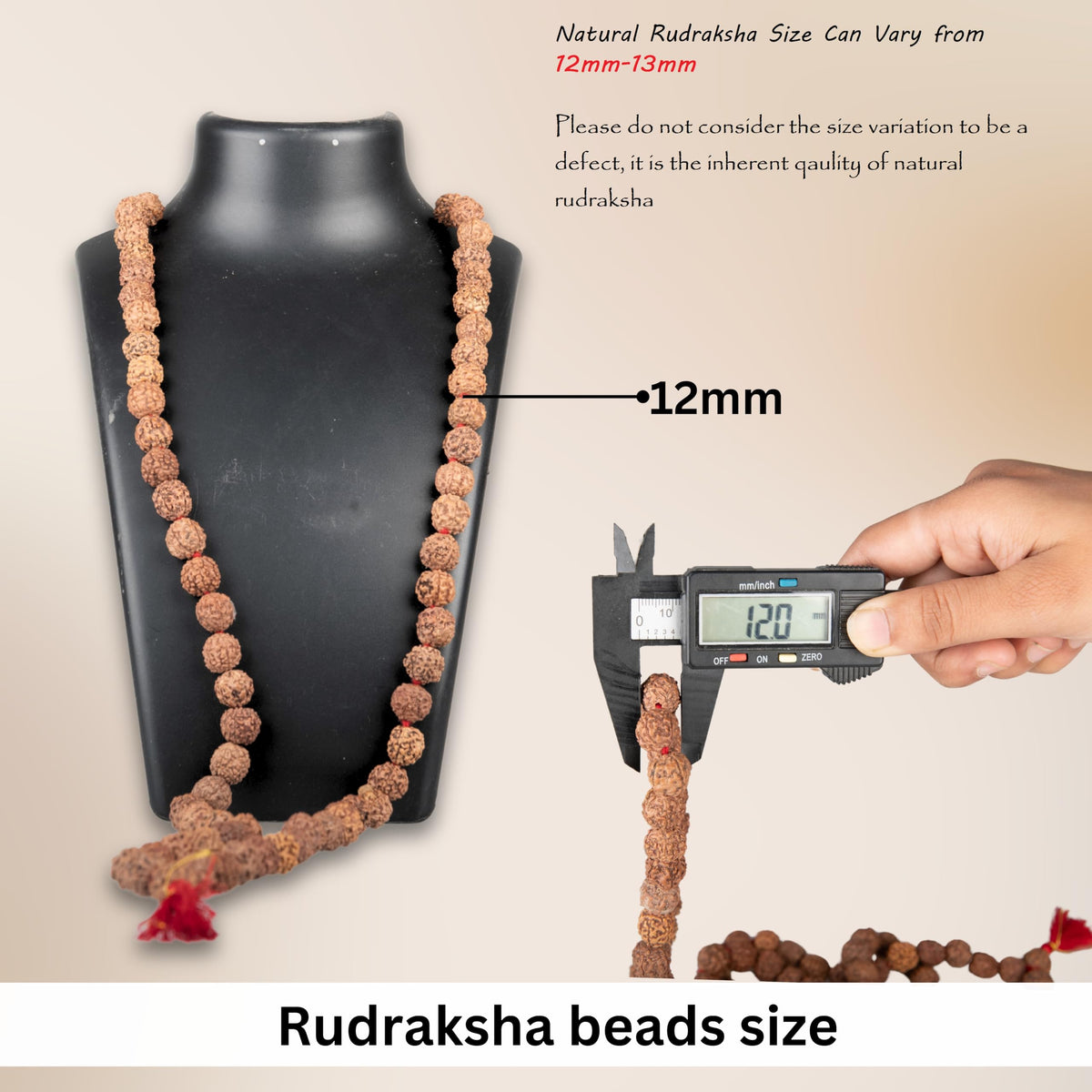 Certified 5face (Rudra 12mm)