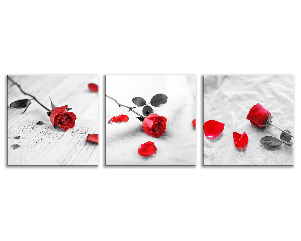 3 Pcs Modern Canvas Painting Black and White Red Rose Canvas Art Painting Abstract Wall Art Decorations Flower Picture on Canvas for Home Decor (16 x 16 inches (3-Piece Set) / C-Rose)
