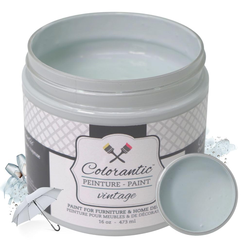 RAINDANCE Chalk Paint Based for Furniture DIY (Raindance / 8 Fl Oz (Pack of 1))