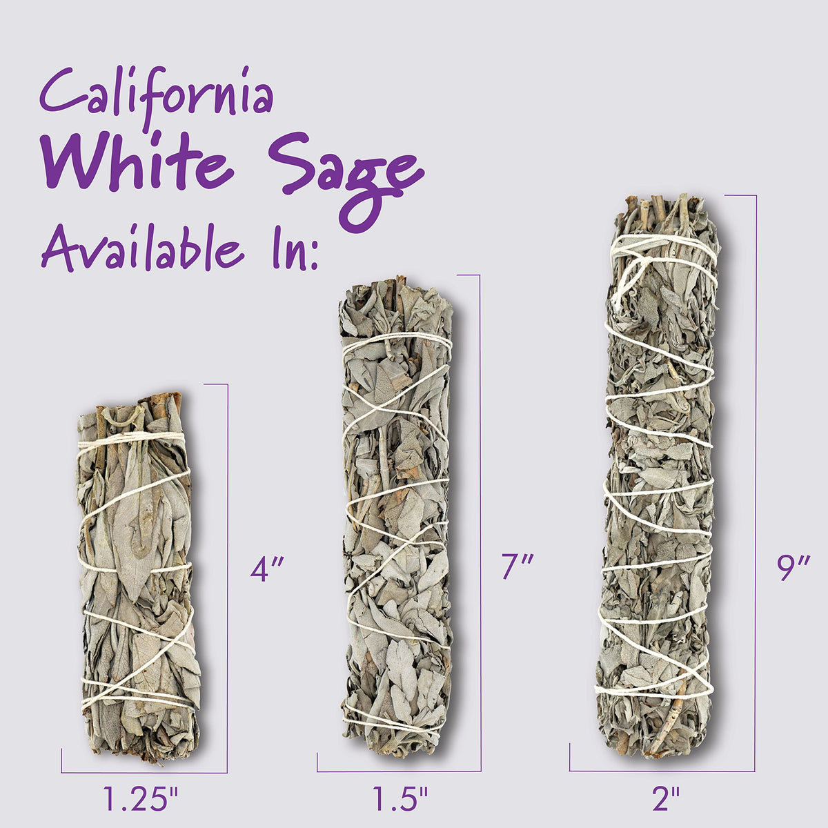 White Sage 9" (9 Inch / 6 PIECES)