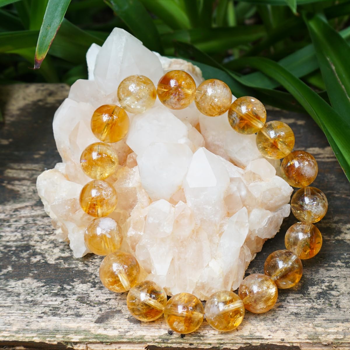 12MM Citrine Bracelet for Women Men Yellow (12MM Citrine Bracelet)