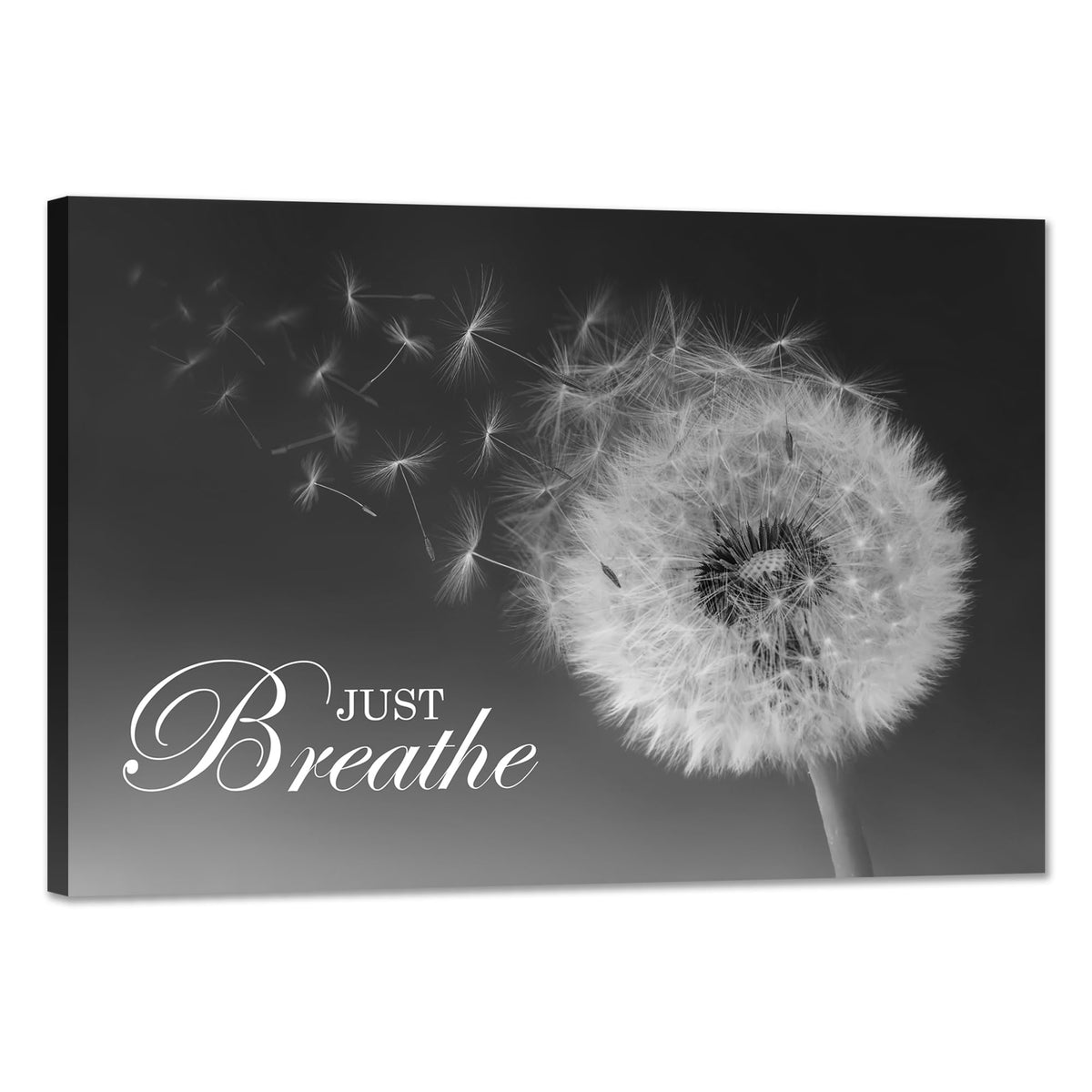 Just Breathe Wall Art Zen Office Wall Decor Inspirational Yoga Quotes Positive Relax Artwork Picture Black and White Dandelion Posters Print for Meditation Room (24"L x 36"W / Dandelion-01)
