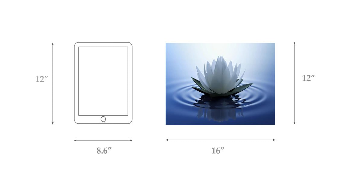 White Lotus Wall Art Canvas Pictures Print Spiritual Meditation Artwork Poster for Yoga Room Bathroom Zen Spa Photo Decor Framed Ready to Hang (12"L x 16"W / Lotus 05)
