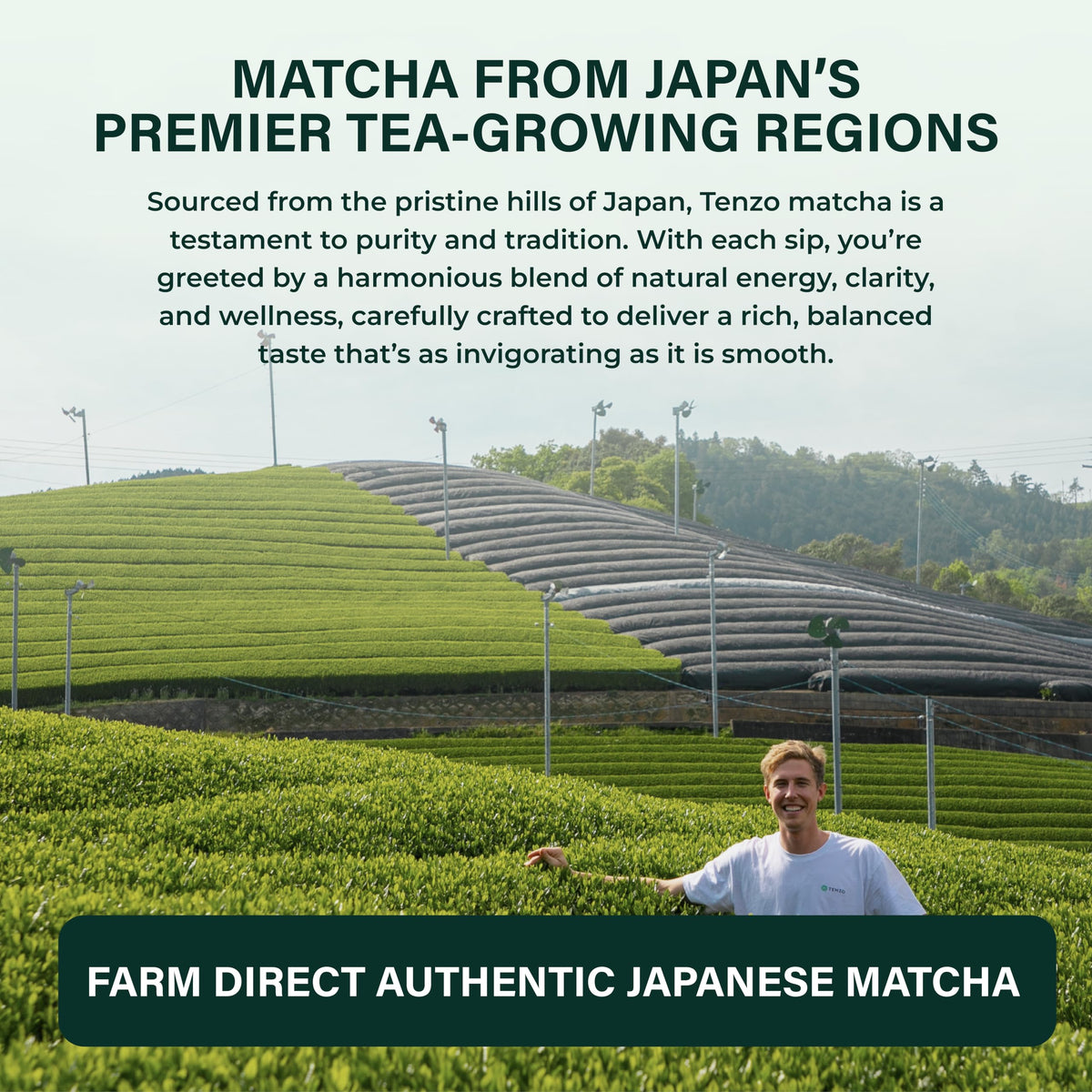 Matcha Powder (17.64 Ounce (Pack of 1))