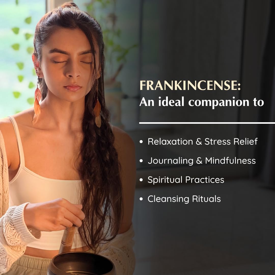 Frankincense Incense Bricks Refill Pack from Somaliland (Frankincense (Pack of 3))