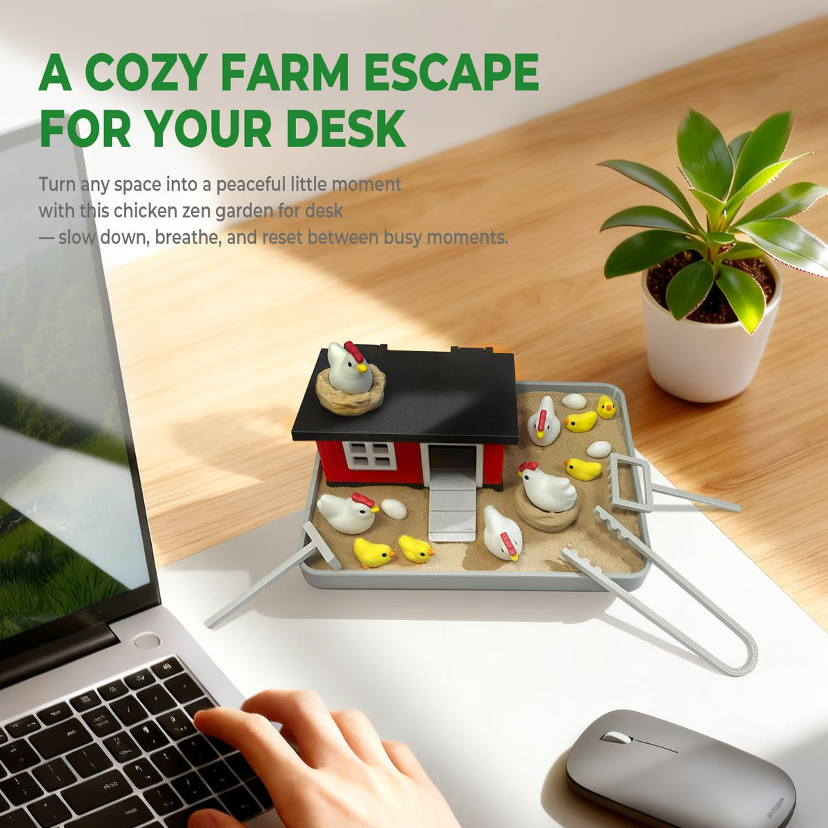 Chicken Zen Garden Kit for Desk Decor