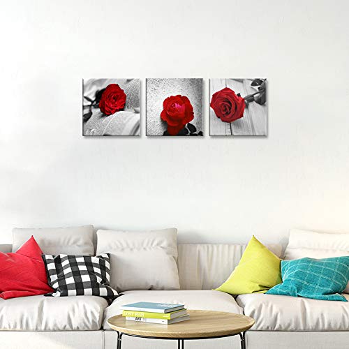 3 Pcs Modern Abstract Canvas Art Red Rose Wall Art Decor (12 x 12 inches (3-Piece Set) / B-Rose)