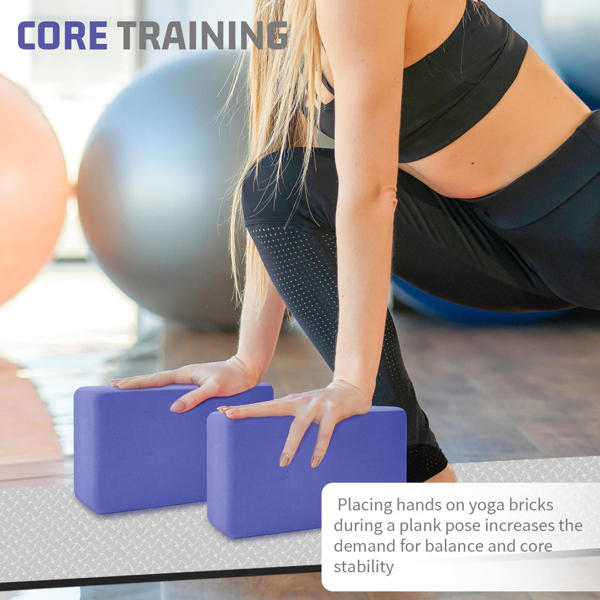 2 Pack Yoga Blocks (Purple)