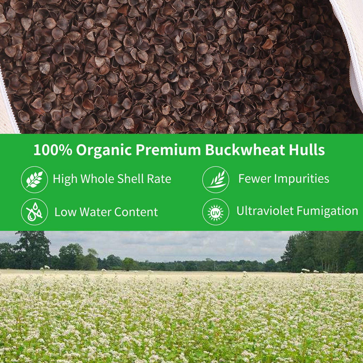 Organic Buckwheat Bolster (Black)