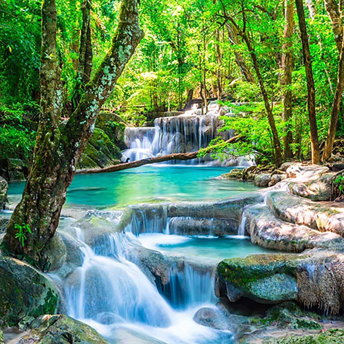 72x84inch Waterfall Shower Curtain Tropic Landscape Stream Flowing Over Rocks in Forest Woodland Nature Scenery Bathroom Set Spring Summer Green Plant Bath Curtain Fabric Polyester with Hooks (72"W x 84"L (Pack of 1) / Green04)