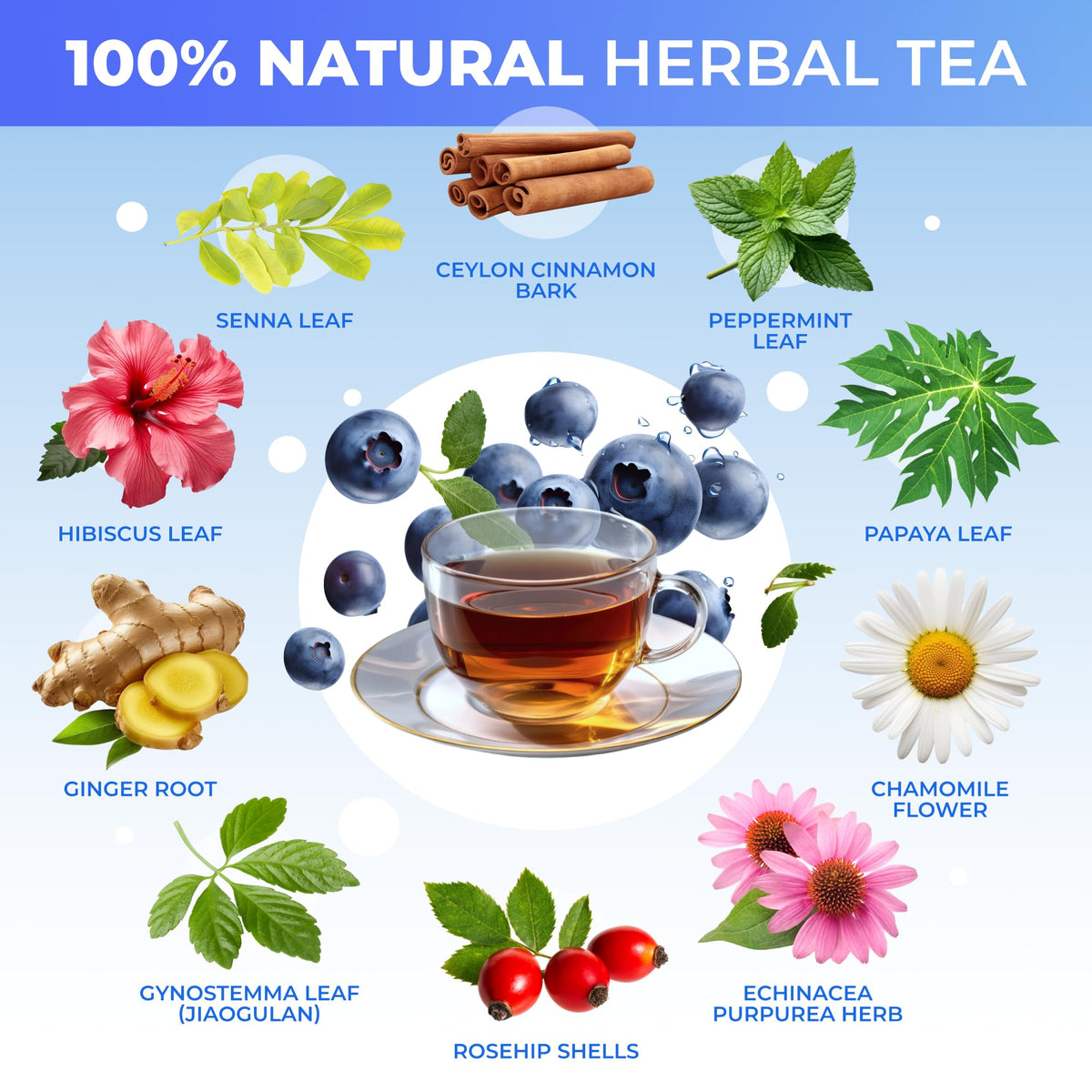 Slimming Detox Caffeine Free Natural Bluebberry Fruit Tea
