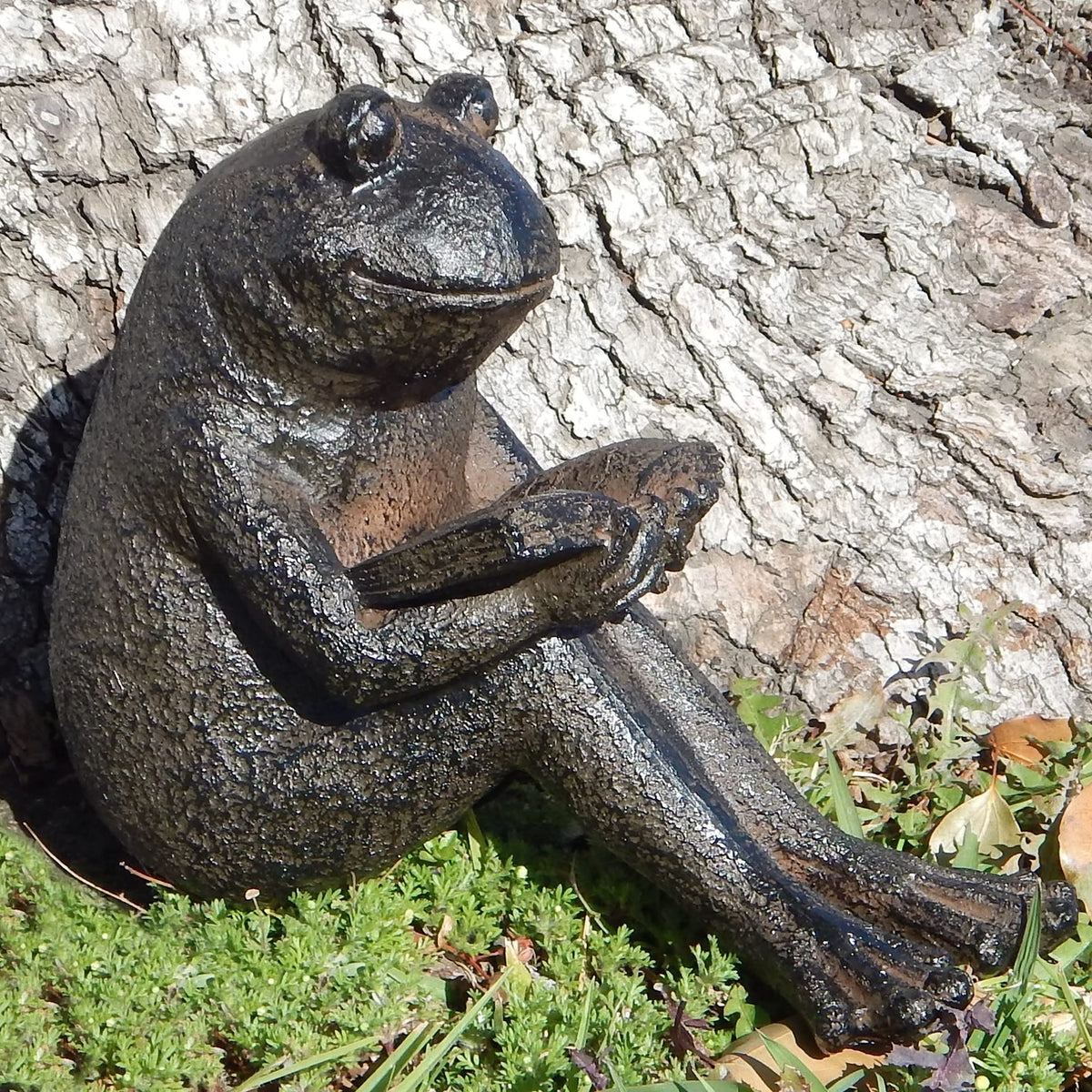 Reading Frog Garden Statue