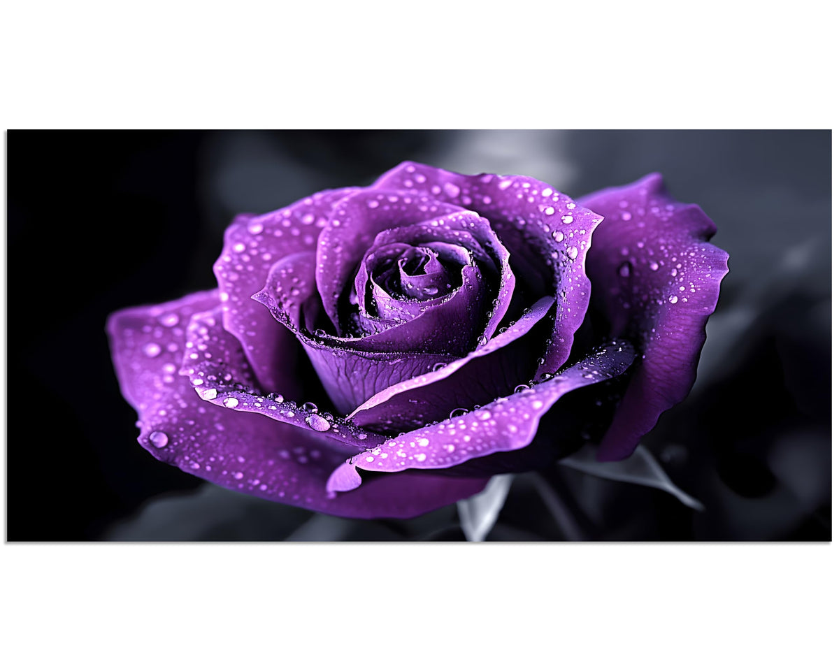 1 Panel Purple Flower Pictures Canvas Wall Art Purple Black and White Purple Rose with Dewdrops Artwork Painting on Canvas Stretched and Framed for Home Decor Living Room 20x40 inch (40"L x 20"W / Purple Flower 12)