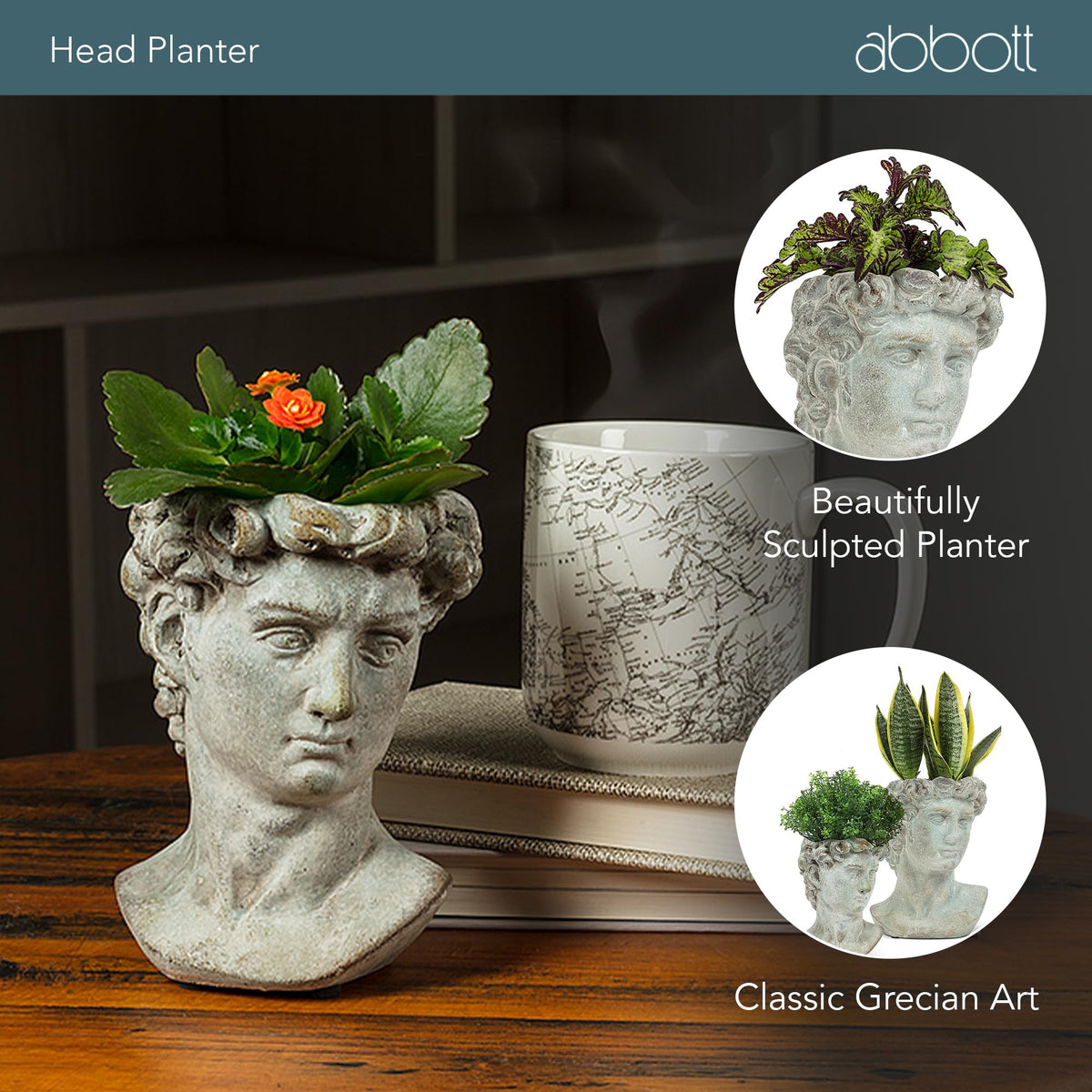 Extra Small Male Head Planter (Extra Small (6 Inch))