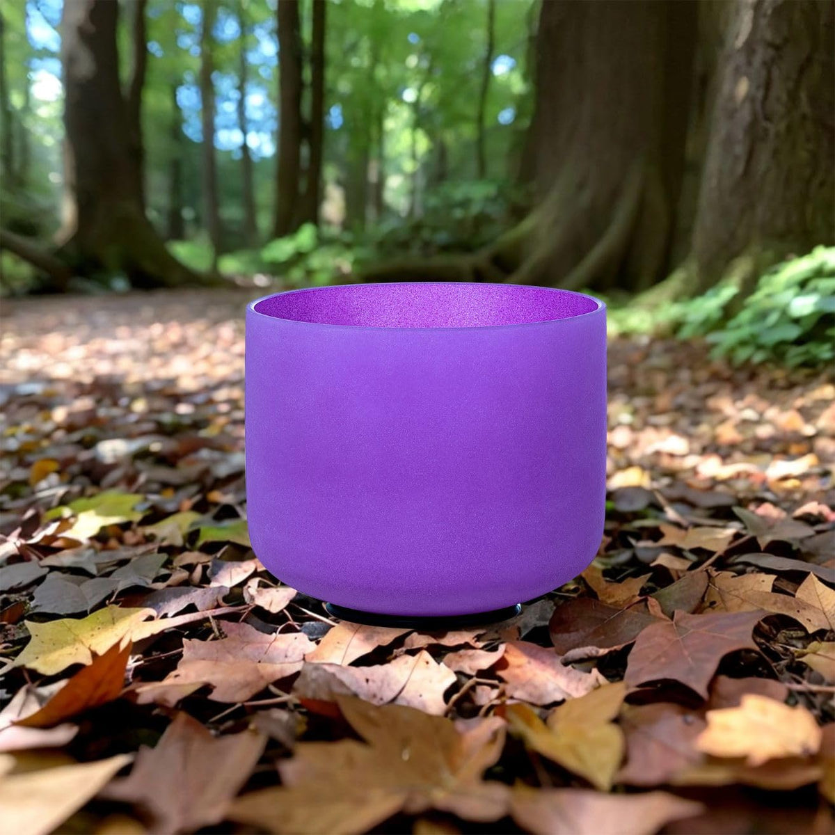 Crystal Singing Bowl 6 Inch Purple B Note 432Hz (Purple 6 Inch B)