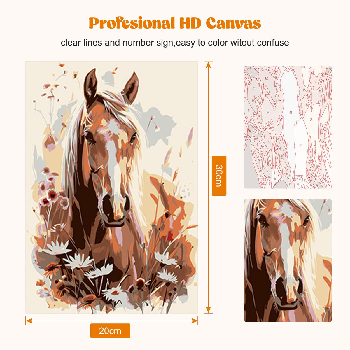 Horse Framed Paint by Numbers Kit for Adults