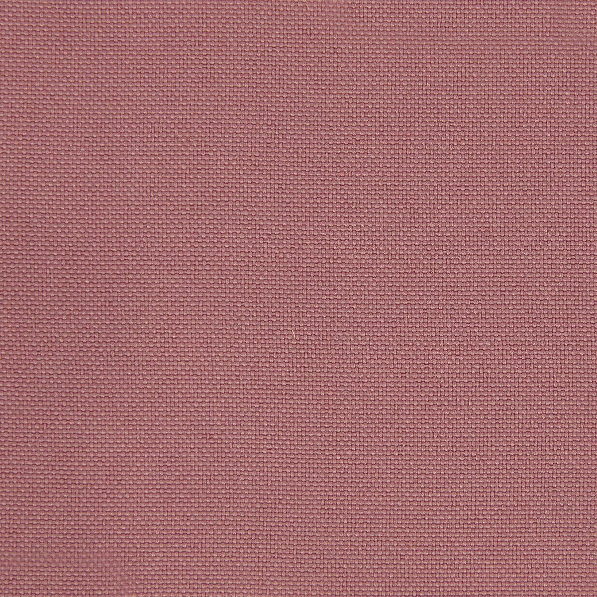 Tufted Papasan Cushion (Mauve / 48 in x 48 in x 4 in)