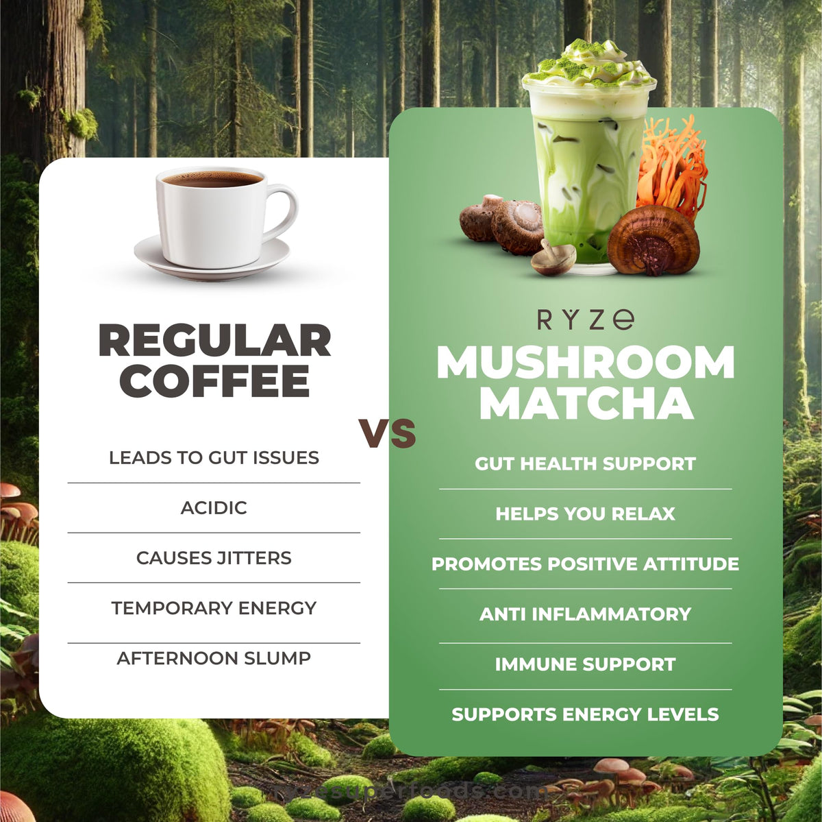 RYZE Mushroom Matcha Starter Kit (12.66 Ounce (Pack of 1))