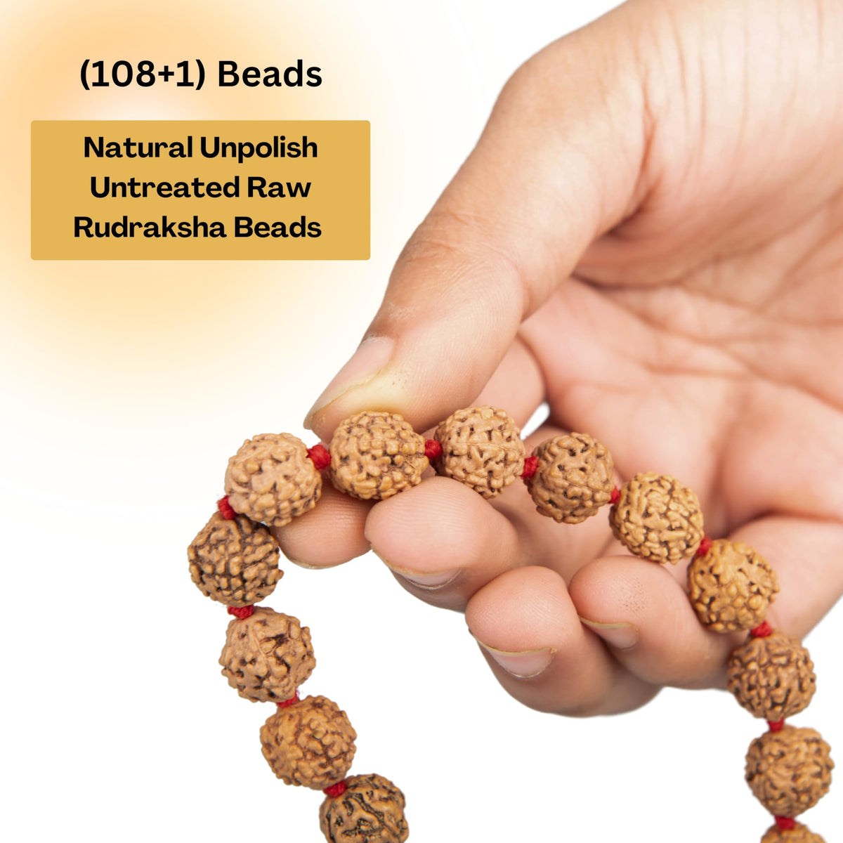 Certified 5face (Rudra 12mm)