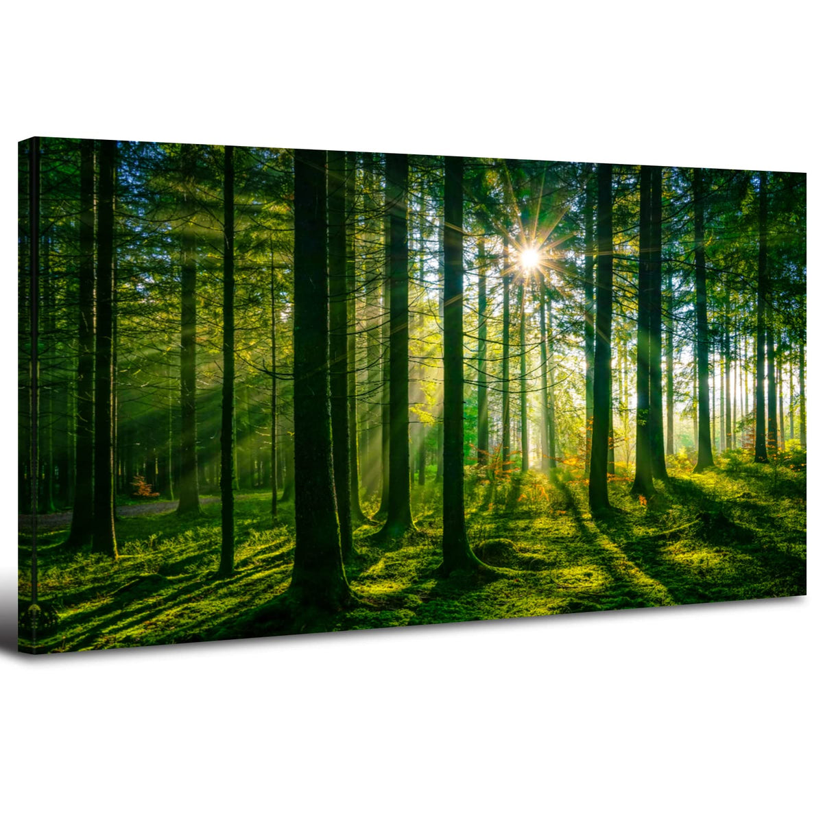 Forest Canvas Wall Art Green Mountain Wall Decor Tree Forest Landscape Prints Pictures Nature Woodland Sunrise Scenery Posters Paintings Modern Artwork for Living Room Bedroom Home Decorations 24x48” (48"L x 24"W / Green Forest)