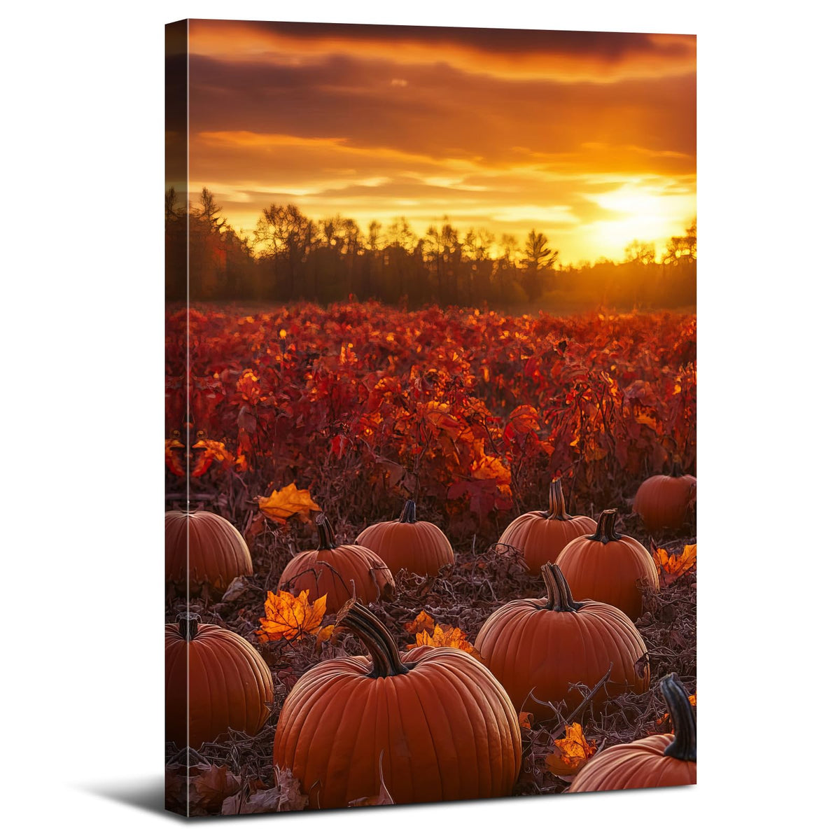 Pumpkin Field Landscape Wall Art Nature Sunrise Pictures Wall Decor Vintage Country Autumn Painting Canvas Prints Orange Maple Leaf Scenery Poster Modern Artwork for Living Room Home Decoration 12x16" (12"L x 16"W / Fall04)