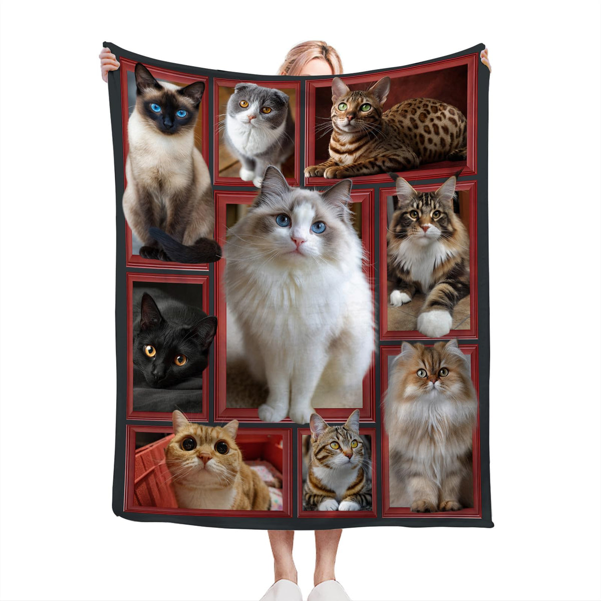 Ragdoll Cat Throw Blanket (60"x80" / Cat)