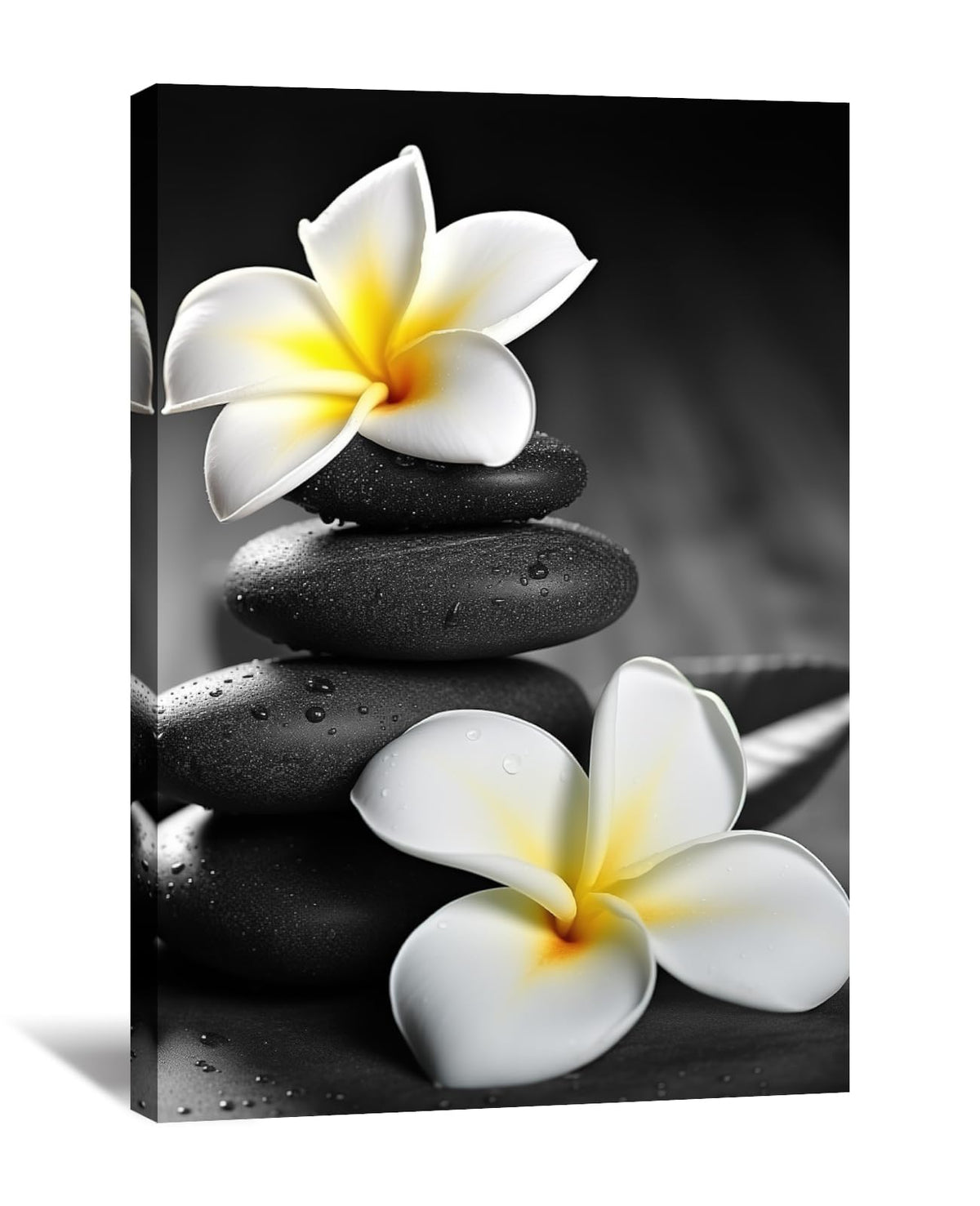 Zen Wall Art Black and White Picture Canvas Print Spa Stone Painting Frangipani Flower Poster Minimalism Artwork for Spiritual Room Bathroom Living Room Office Home Decor (18"L x 12"W / E - Black and White)