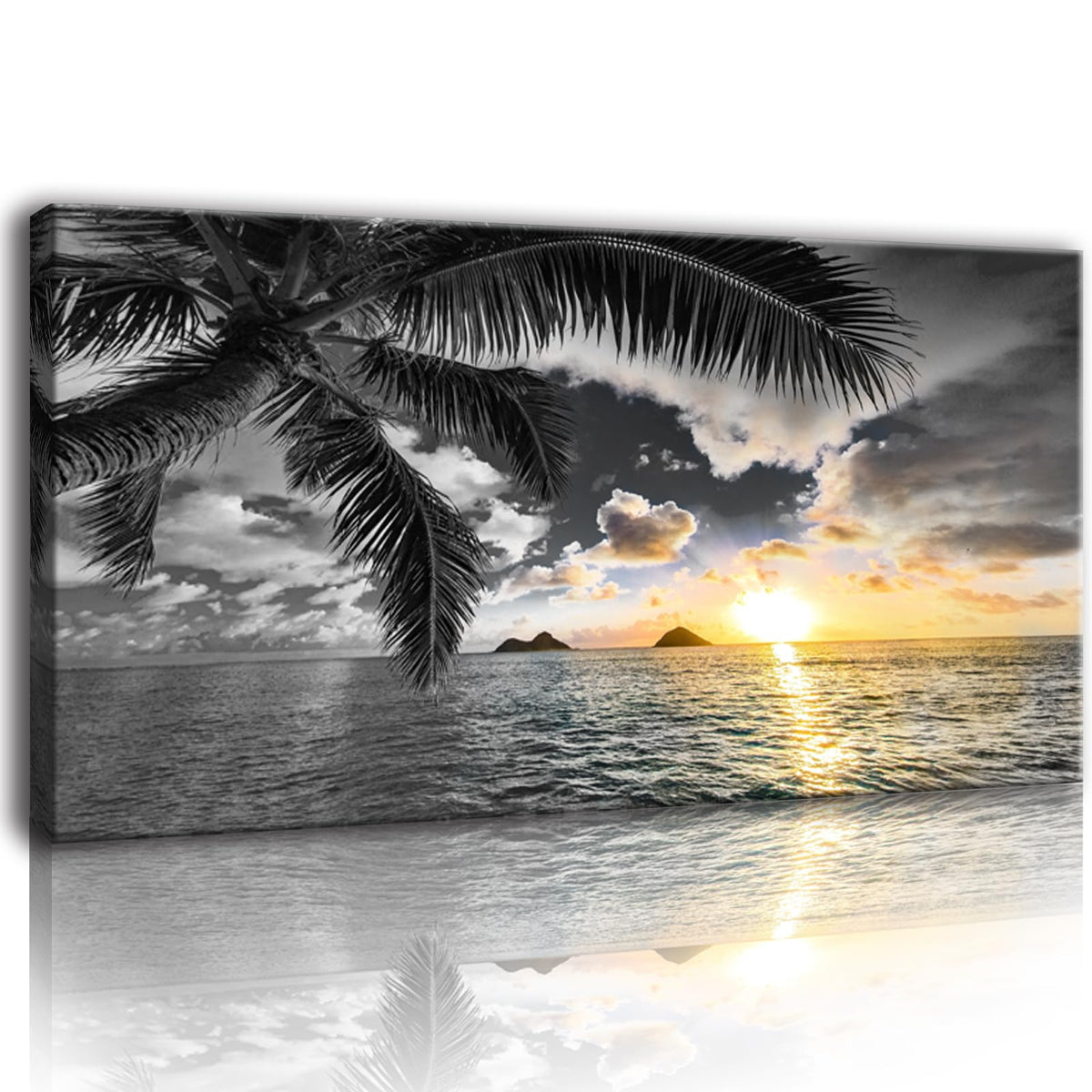 Large Canvas Wall Art for Bedroom Black and White Beach Wall Art Sunset Seascape Pictures Palm Prints Art Wall Decor Living Room Ocean Poster Painting Home Office Decoration Scenery Artwork (beach HB / 60"L x 30"W)