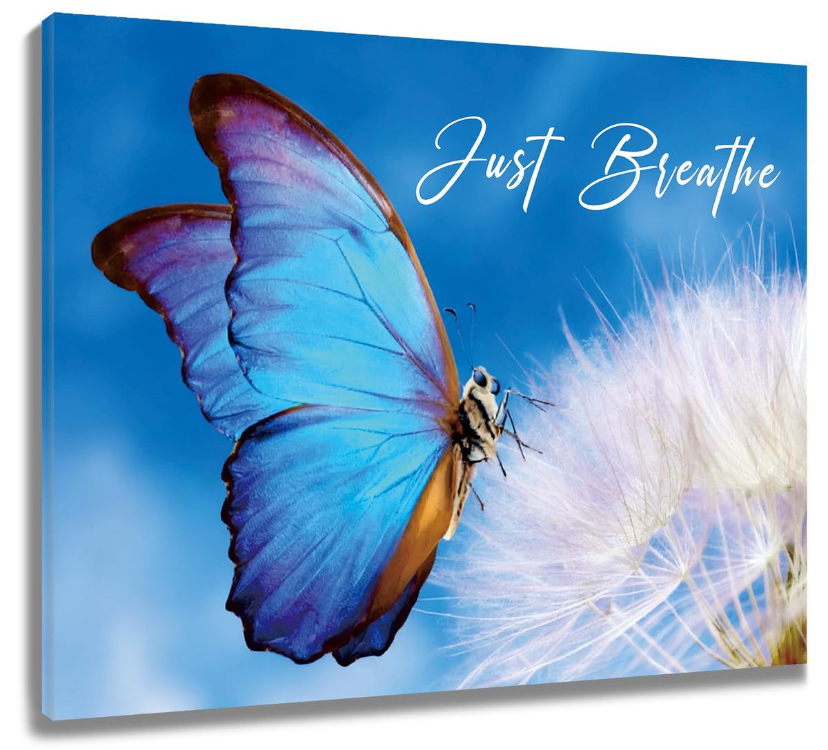 Blue Butterfly Dandelion Wall Art Fantasy Butterfly Floral Canvas Wall Art for Bathroom Just Breathe Zen Spa Yoga Wall Decor for Bedroom Living Room Home Office Ready to Hang 16L x 20W Inch (Blue / 16"L x 20"W)