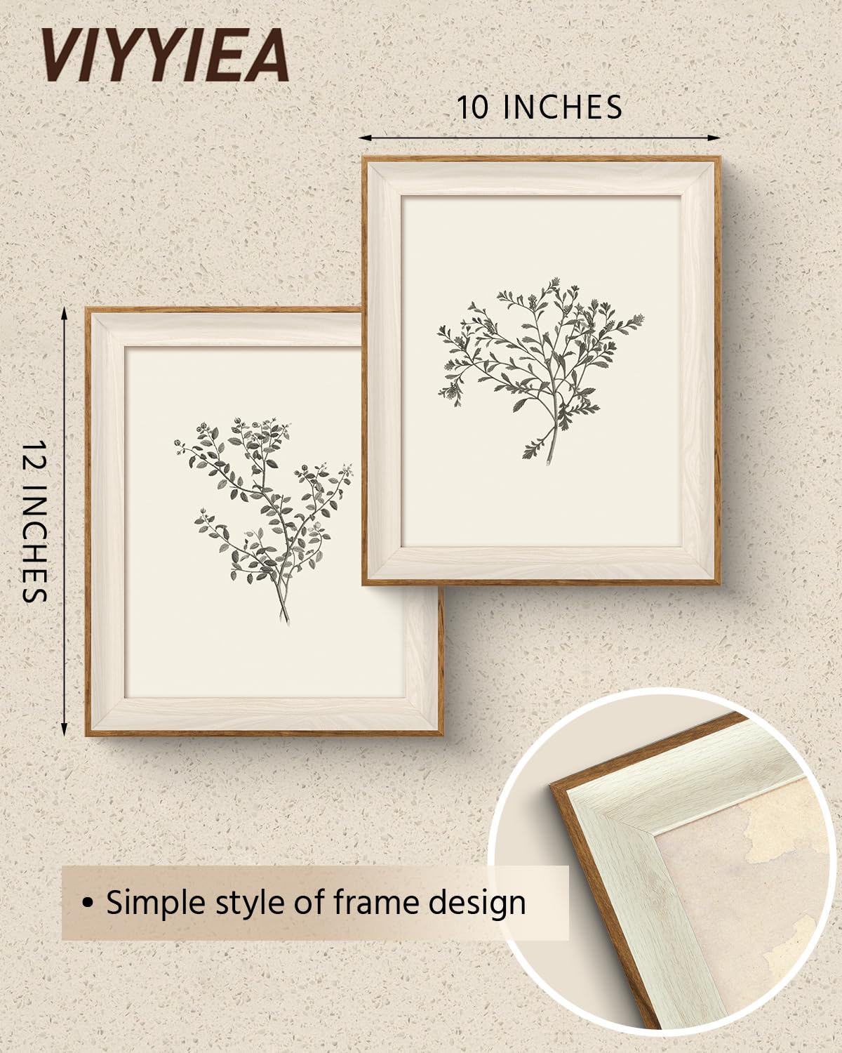 Framed Vintage Sketch Floral Botanical Wall Art Set (Botanical Museum / 12"L x 10"W)