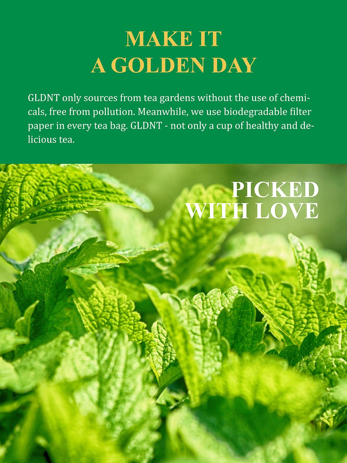 Organic Lemon Balm Tea Bags