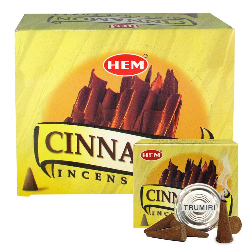 Cinnamon Incense Cones and Cone Incense Burner Bundle Insence Insense Hem Incense (Cinnamon)