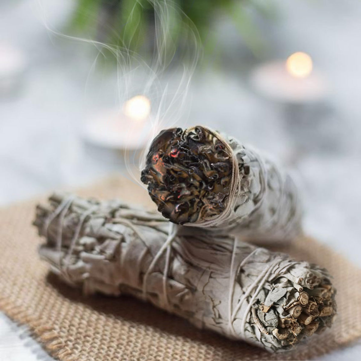 Native American Organic White Sage Smudge Sticks (3 Pieces)