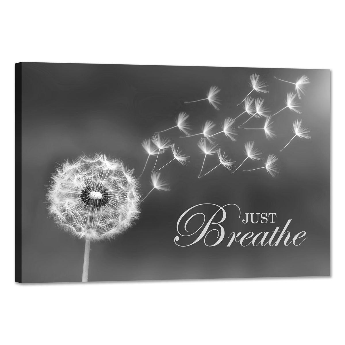 Black and White Dandelion Zen Wall Art Canvas Just Breathe Motivation Positive Picture Art Print for Spa Yoga Meditation Wall Decor Ready to Hang (20"L x 30"W / Dandelion-02)
